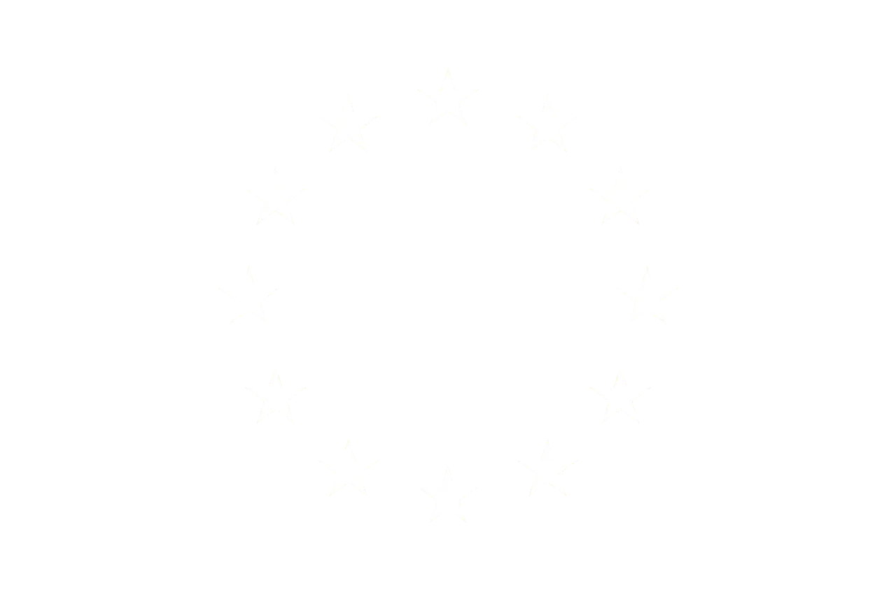 European Union flag